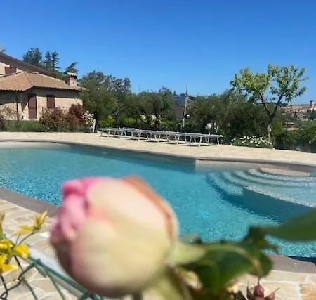 Madonna Carradori 3*