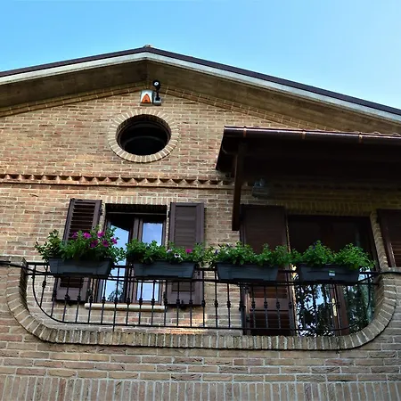 Madonna Carradori 3*