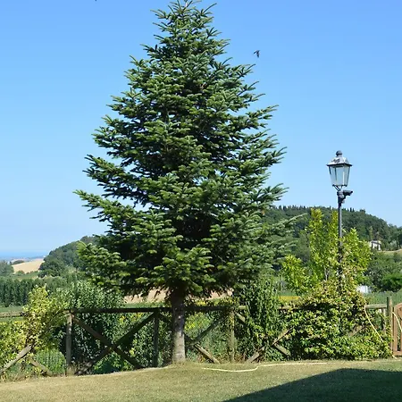 Madonna Carradori 3* Offagna