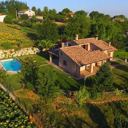 Madonna Carradori 3*