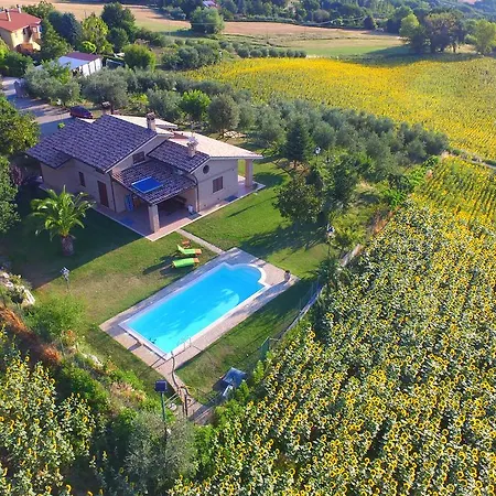 Madonna Carradori Bed & Breakfast Offagna