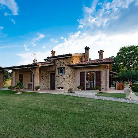 Madonna Carradori 3*